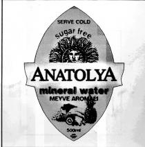serve cold sugar free anatolya mineral water
