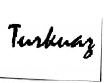 turkuaz