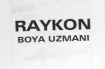 raykon boya uzmani