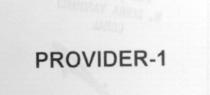 provider-1