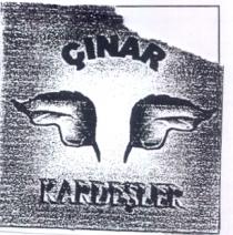 çinar kardeşler