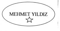 mehmet yildiz