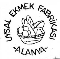 uysal ekmek fabrikasi alanya