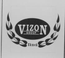 vizon group