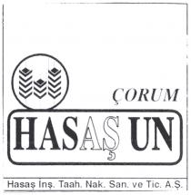 çorum hasaş un