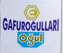 gafuroğullari oğul g