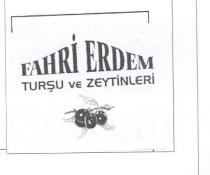 fahri erdem