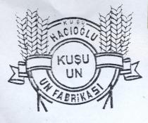 kuşu hacioğlu