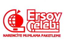 ersoy çelebi