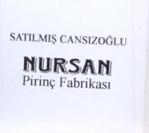 satilmiş cansizoğlu nursan