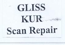 gliss kur scan repair