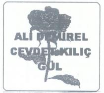 ali demirel cevdet kılıç gül