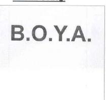 b.o.y.a.