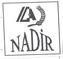 nadir a