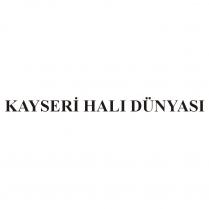 kayseri halı dünyası