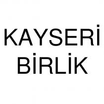 kayseri birlik