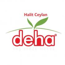 halit ceylan deha yaş sebze meyve