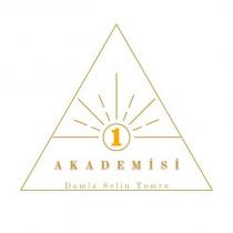 1 akademisi damla selin tomru