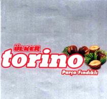ülker torino parça fındıklı