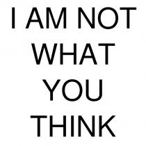 ı am not what you thınk