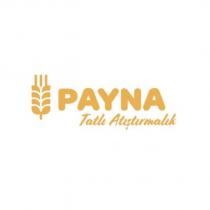 payna tatlı atıştırmalık