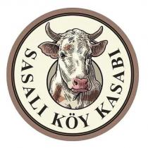 sasalı köy kasabı
