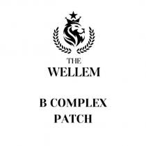 the wellem b complex patch