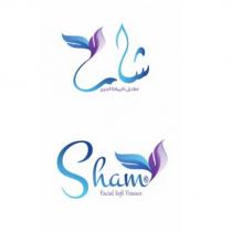 sham facial soft tissues