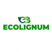 eb ecolignum