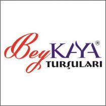 beykaya turşuları