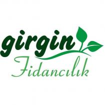 girgin fidancılık