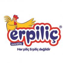 erpiliç göynük her piliç erpiliç değildir