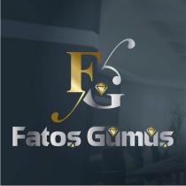 fg fatoş gümüş