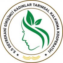 s.s devrekani girişimci kadınlar tarımsal kalkınma kooperatifi