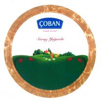 çoban esaslı lezzet saray yoğurdu