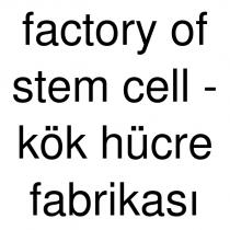 factory of stem cell - kök hücre fabrikası