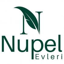 n nupel evleri