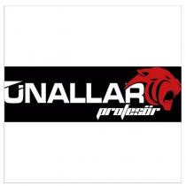 ünallar profesör