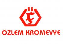 özlem kromevye öç