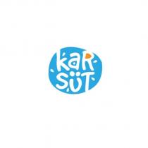 kar süt