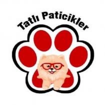 tatlı paticikler