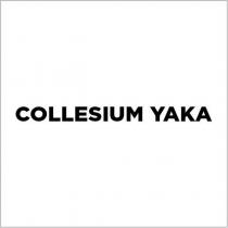 collesıum yaka