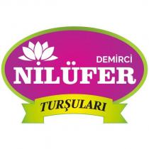 demirci nilüfer turşuları