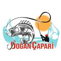 dç doğan çapari