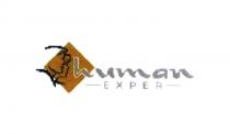 human exper