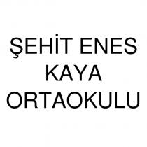 şehit enes kaya ortaokulu