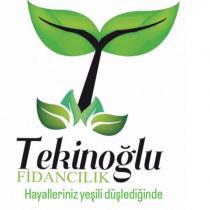 tekinoğlu fidancılık hayalleriniz yeşili düşlediğinde