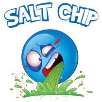salt chip