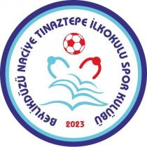 beylikdüzü naciye tınaztepe ilkokulu spor kulübü 2023
