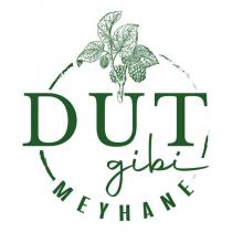 dut gibi meyhane